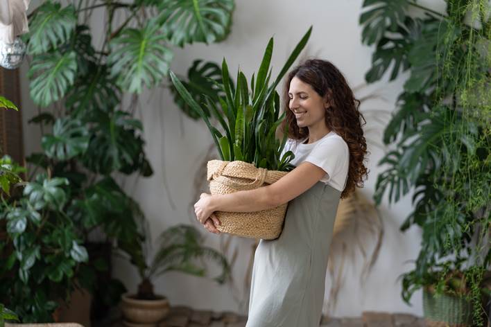 Mulher em pé ao lado de uma planta

O conteúdo gerado por IA pode estar incorreto.